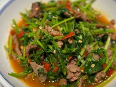 -壹盏灯(惠农店)