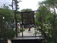-瑞穗牧场