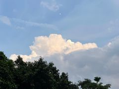 -小半有礼(天河南店)