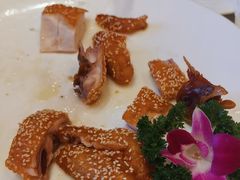 -半岛太子酒家(海港城店)