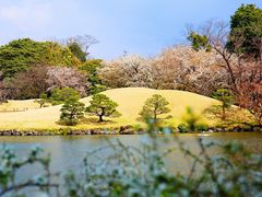 -水前寺成趣园