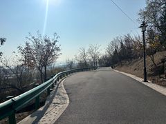 -白水寺森林公园