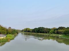 -海珠湖公园