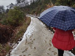 -千岛湖天屿景区