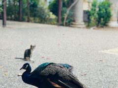 -安塔利亚博物馆