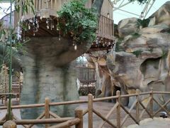 -杭州开元森泊度假乐园