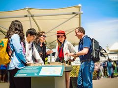 -阿尔卡特拉斯岛