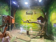 -华夏文旅海洋公园