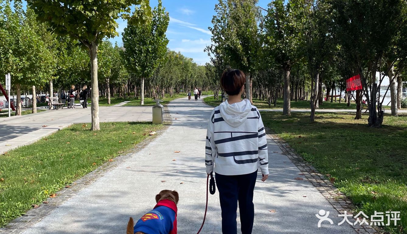 艳阳普照的日子真让人心情舒畅🌞