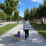艳阳普照的日子真让人心情舒畅🌞