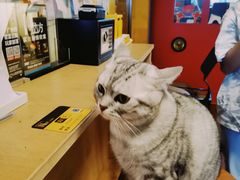 -H立方实景剧情密室(天河旗舰店)
