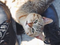 -苏州河梦清园环保主题公园