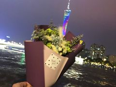 -珠江夜游广州塔·中大码头