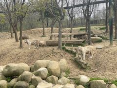 -常州淹城野生动物世界