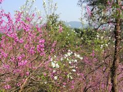 -天台山赤城山景区