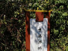 -羚羊峡古栈道森林公园