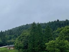 -武陵山森林公园