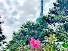 -梧桐山风景名胜区