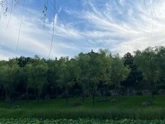 -唐城墙遗址公园