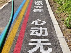 -棒棰岛宾馆景区