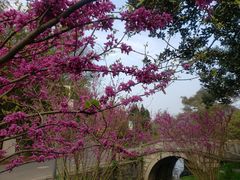 -花溪公园