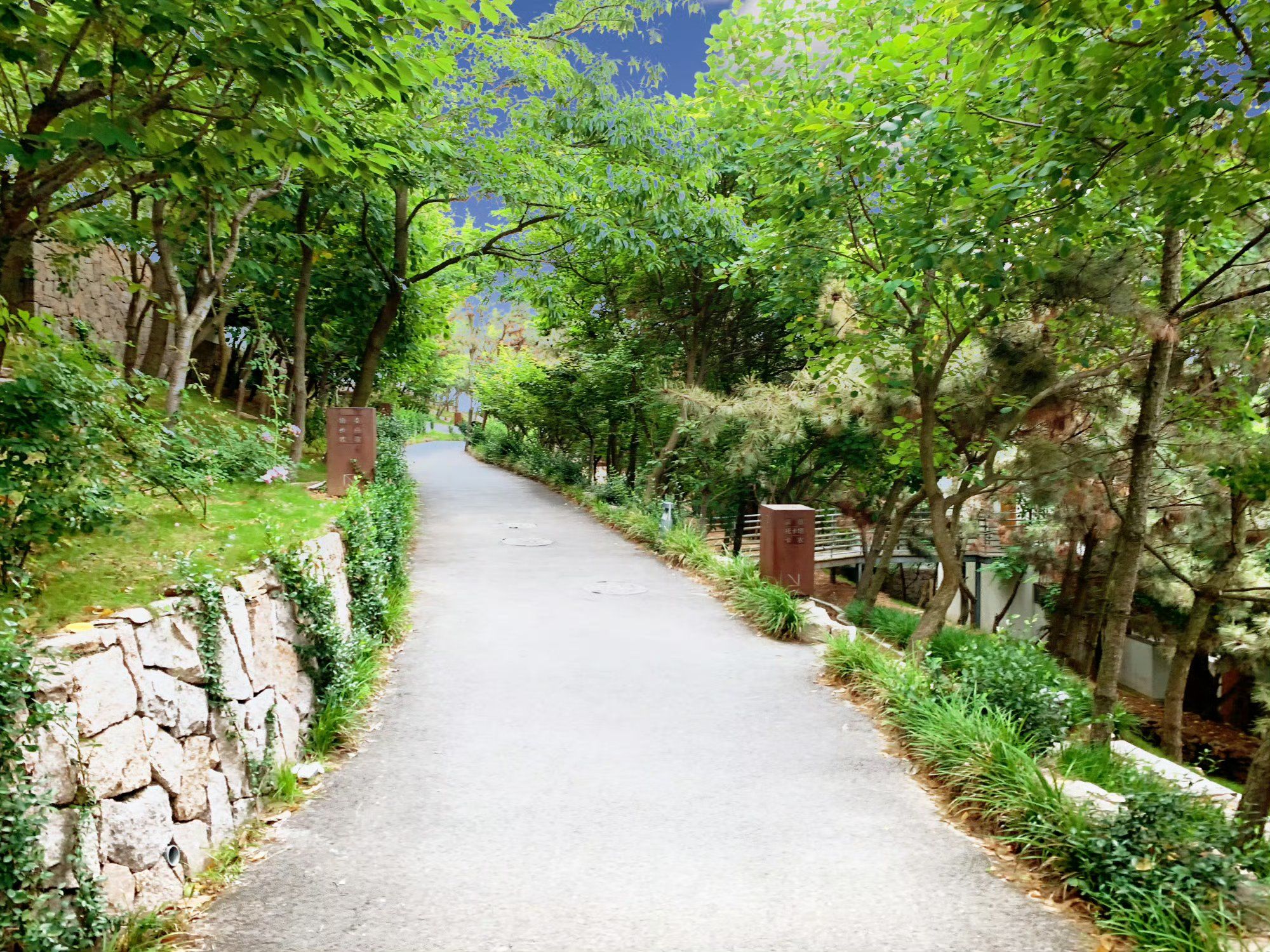 曲径通幽的山间路