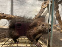 -Zoolung Zoolung动物主题公园(海信广场店)