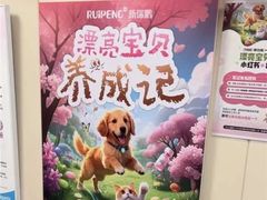 -美联众合爱康动物医院•复杂内科•肿瘤科•牙科•腔镜诊疗中心