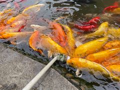 -成飞公园