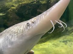 -江和美海洋公园