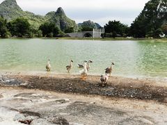 -Club Med地中海俱乐部·桂林度假村