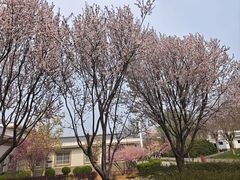 -河北省园博园