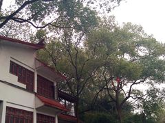 -忠山公园