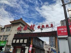 -桃源村铁锅炖鱼(体育馆道店)