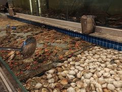 -一方渔歌蒸汽海鲜自助(文化路万达广场店)