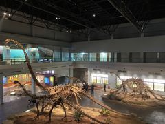 -自贡恐龙博物馆