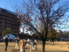 -金泽21世纪美术馆