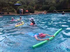 -海豚之星游泳俱乐部(喜来登馆)