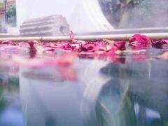 -苏州湾王焰温泉度假酒店