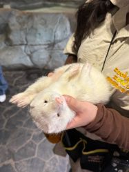 -Zoolung Zoolung动物主题公园(海信广场店)
