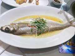 鸡汁蒸钱江白丝鱼-红城阁·上海味道(四平路店)