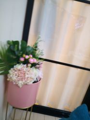 -简悦美塑·徒手点穴减肥