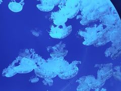 -沈阳海洋探索中心