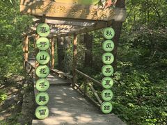 -大岭沟猕猴桃谷风景区