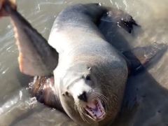 -西霞口神雕山野生动物世界