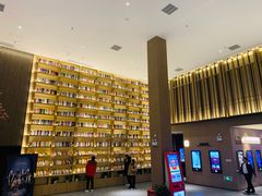 -深影国际影城(学院南路店CGS中国巨幕店)