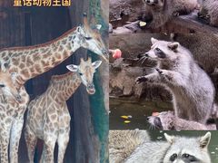 -长鹿旅游休博园