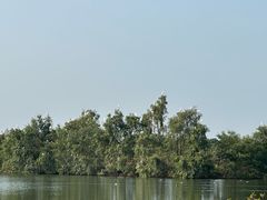 -芒洲湿地公园