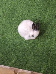 -萌宠亲子动物乐园(槐房万达店)