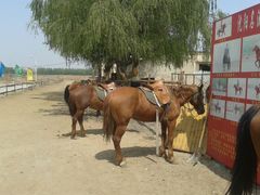 -丁香湖丁香小镇Citypark滑雪公园戏雪嘉年华